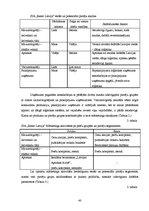 Diplomdarbs 'Uzņēmuma SIA "Ream Latvija" darbības analīze un attīstības iespējas', 40.
