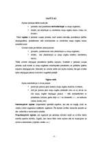 Referāts 'Cilvēka uztvere', 2.