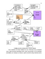 Diplomdarbs 'Partiju loma Latvijas likumdošanas procesā', 26.