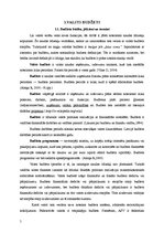 Referāts 'Latvijas Valsts budžeta analīze', 5.