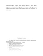 Prakses atskaite 'Prakses atskaite finanšu grāmatvedībā', 17.