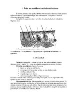 Konspekts 'Ādas un zemādas strūtainās saslimšanas', 2.