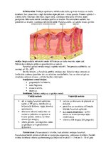 Konspekts 'Ādas un zemādas strūtainās saslimšanas', 3.
