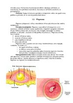 Konspekts 'Ādas un zemādas strūtainās saslimšanas', 4.