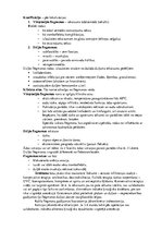 Konspekts 'Ādas un zemādas strūtainās saslimšanas', 5.