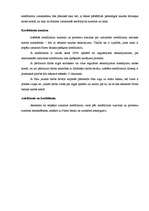 Referāts 'Parex bankas piedāvātie kredīti', 9.