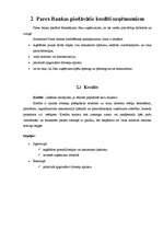 Referāts 'Parex bankas piedāvātie kredīti', 10.