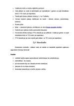 Referāts 'Parex bankas piedāvātie kredīti', 13.