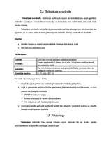 Referāts 'Parex bankas piedāvātie kredīti', 15.