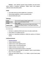 Referāts 'Parex bankas piedāvātie kredīti', 16.