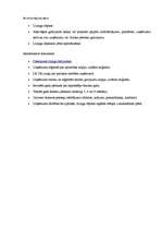 Referāts 'Parex bankas piedāvātie kredīti', 18.