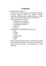 Referāts 'Parex bankas piedāvātie kredīti', 19.