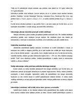 Eseja '"Purvīša balvas 2013" nominantu izstādes komunikācijas analīze', 4.