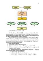 Diplomdarbs 'Mārketinga plāns mobilā telefona modeļa LG G 7100 virzīšanai tirgū', 56.