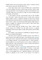 Referāts 'SIA "Patrika" e-komercijas stratēģijas analīze', 3.