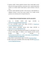 Referāts 'SIA "Patrika" e-komercijas stratēģijas analīze', 9.