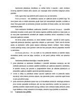 Referāts 'Mārketinga politikas analīze uzņēmumā "Fedak"', 23.