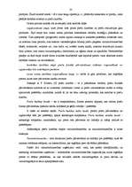 Referāts 'Mārketinga politikas analīze uzņēmumā "Fedak"', 30.