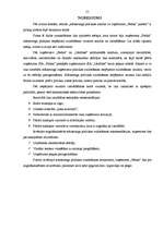 Referāts 'Mārketinga politikas analīze uzņēmumā "Fedak"', 55.