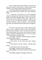 Referāts 'Mūzika kā pirmsskolas vecuma bērnu intelektuālo spēju sekmētāja', 3.