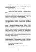 Referāts 'Mūzika kā pirmsskolas vecuma bērnu intelektuālo spēju sekmētāja', 19.