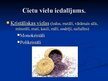 Prezentācija 'Cietu vielu īpašības', 2.