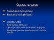 Prezentācija 'Cietu vielu īpašības', 5.