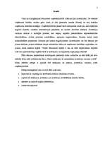 Referāts 'Tīrais ienākums, tā izmantošana investīciju variantu izvēlē', 2.