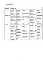 Referāts 'Plastmasa', 14.