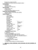 Konspekts 'Latvijas valsts un tiesību vēsture', 28.