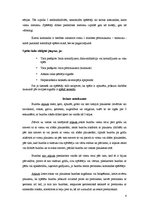 Referāts 'Handbols, tā nozīme Latvijā', 6.