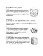 Konspekts 'Veļas mašīnas', 5.