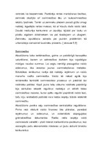 Referāts 'Absolūtisms un apgaismība Austrijā', 10.