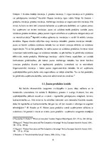 Referāts 'Jauna produkta izveide un virzīšana starptautiskajā tirgū', 6.