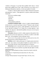 Referāts 'Jauna produkta izveide un virzīšana starptautiskajā tirgū', 12.