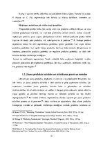 Referāts 'Jauna produkta izveide un virzīšana starptautiskajā tirgū', 14.