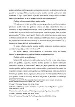 Referāts 'Jauna produkta izveide un virzīšana starptautiskajā tirgū', 19.