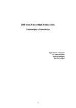 Referāts 'DNS kods', 1.