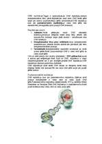 Referāts 'DNS kods', 3.