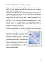 Referāts 'Polija - valsts raksturojums', 28.