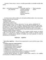 Referāts 'D.Oremas pašaprūpes teorija', 1.