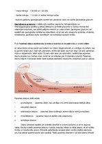 Konspekts 'Inženierģeoloģijas pamatkurss. Sksāmena jautājumi un atbildes', 13.