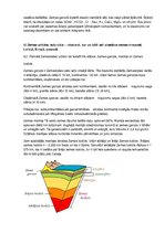 Konspekts 'Inženierģeoloģijas pamatkurss. Sksāmena jautājumi un atbildes', 14.