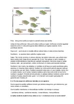 Konspekts 'Inženierģeoloģijas pamatkurss. Sksāmena jautājumi un atbildes', 17.