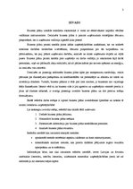 Referāts 'Biznesa plāna sastādīšanas principi', 3.