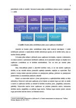 Referāts 'Biznesa plāna sastādīšanas principi', 6.