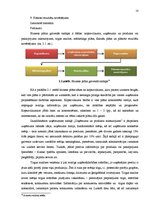 Referāts 'Biznesa plāna sastādīšanas principi', 10.