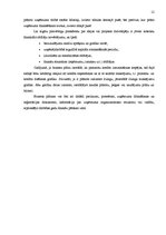 Referāts 'Biznesa plāna sastādīšanas principi', 12.