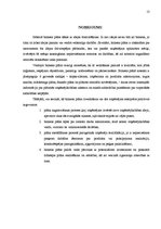 Referāts 'Biznesa plāna sastādīšanas principi', 13.