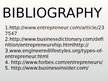 Prezentācija 'Entrepreneurship', 17.